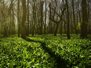 訪農(nóng)戶，送技術(shù)！ “中國(guó)農(nóng)資”現(xiàn)代農(nóng)業(yè)服務(wù)團(tuán)隊(duì)助力秋糧生產(chǎn)