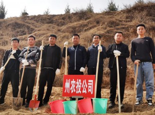 臨夏州凱潤農(nóng)牧投資發(fā)展集團(tuán)有限公司參加2021年春季義務(wù)植樹活動